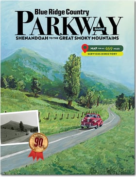 BRPG25-cover (1)