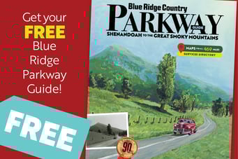 FREE BRPG 681x4542-1